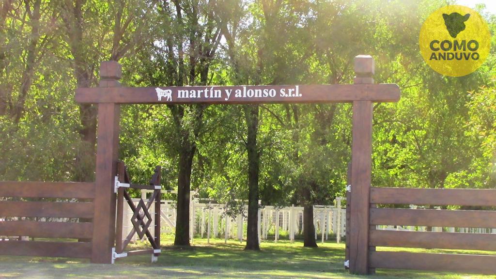Martín y Alonso SRL